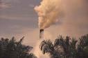 Contaminacion planta